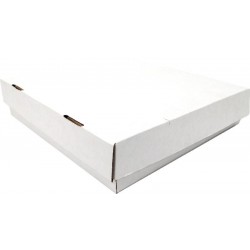 83729 CAJA BIZCOCHO 9.5