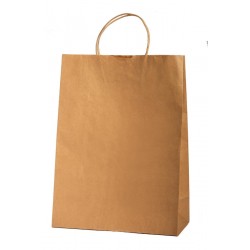 FUNDA 25C GEN C/ASA 0.1 ML 42x30x14cm