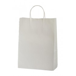 FUNDA 25D GEN C/ASA 0.1 ML 42x30x14cm